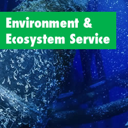 Environment & Ecosystem Service