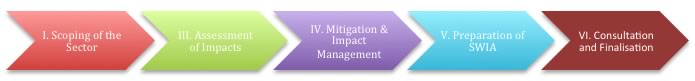 Impact Assessment Steps